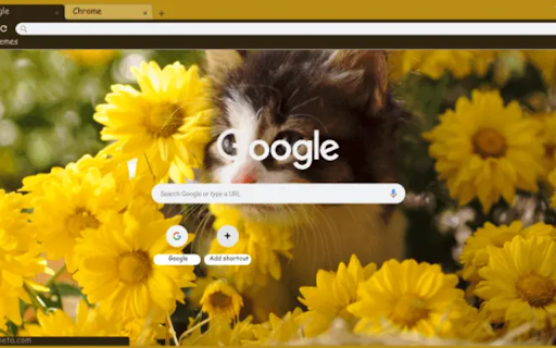 Sunflower Kitten  from Chrome web store to be run with OffiDocs Chromium online