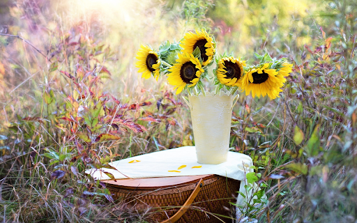 Sunflower vase  from Chrome web store to be run with OffiDocs Chromium online