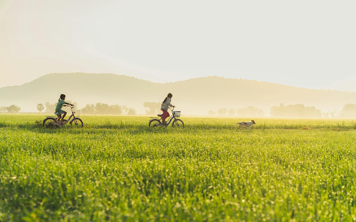 Sunlit Countryside Escape  from Chrome web store to be run with OffiDocs Chromium online