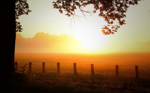 Sunny and foggy dawn  from Chrome web store to be run with OffiDocs Chromium online