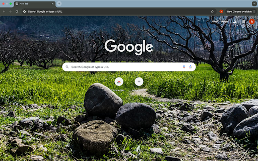sunny peach garden  from Chrome web store to be run with OffiDocs Chromium online