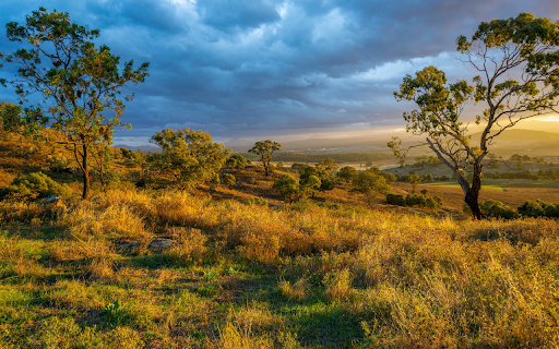 Sunny tree hills  from Chrome web store to be run with OffiDocs Chromium online