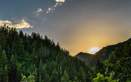 Sun Rising In The Big Forest At Cinego  from Chrome web store to be run with OffiDocs Chromium online