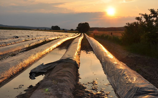 sunset and fields  from Chrome web store to be run with OffiDocs Chromium online