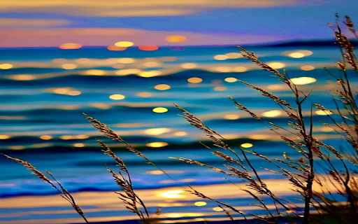 Sunset beach wallpaper  from Chrome web store to be run with OffiDocs Chromium online