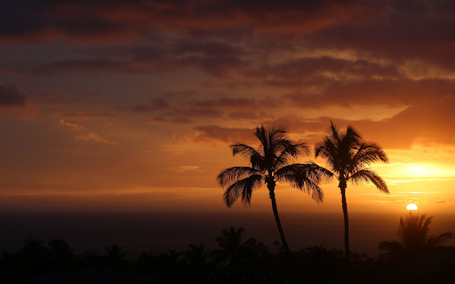 Sunset behind the coconut groves  from Chrome web store to be run with OffiDocs Chromium online