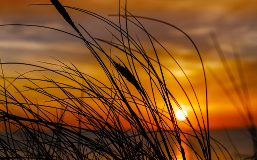 Sunset by the lake  from Chrome web store to be run with OffiDocs Chromium online