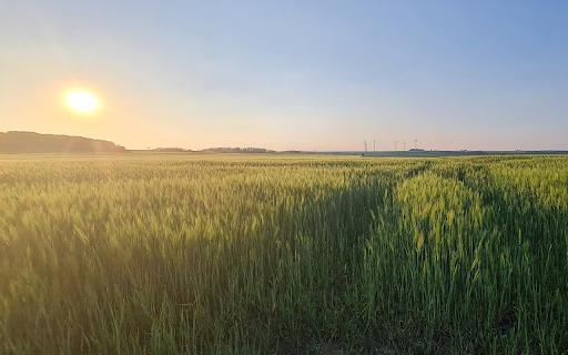 Sunset in the fields  from Chrome web store to be run with OffiDocs Chromium online