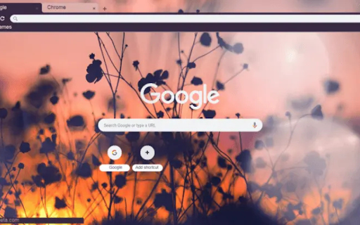 Sunset on the Field  from Chrome web store to be run with OffiDocs Chromium online
