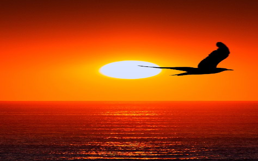 Sunset scene wallpaper  from Chrome web store to be run with OffiDocs Chromium online