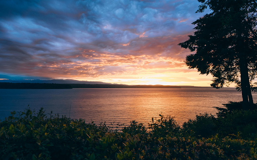 Sun Setting Over Water with a Tree  from Chrome web store to be run with OffiDocs Chromium online