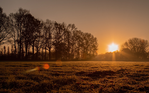 Sunshine on the field  from Chrome web store to be run with OffiDocs Chromium online