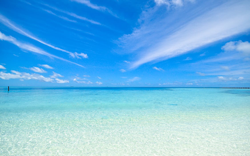 SunSplashSurf  from Chrome web store to be run with OffiDocs Chromium online