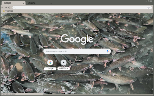 Suoi Ca Than Cam Thuy  from Chrome web store to be run with OffiDocs Chromium online