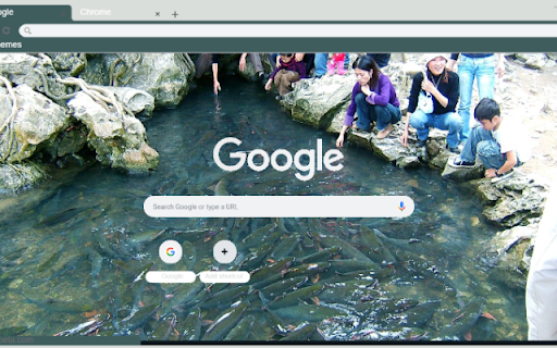 Suoi Ca Than Thanh Xuan  from Chrome web store to be run with OffiDocs Chromium online