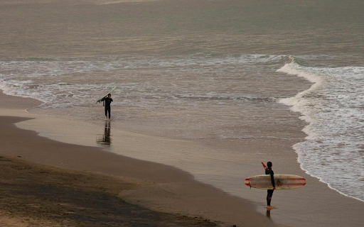 Surfboard  from Chrome web store to be run with OffiDocs Chromium online