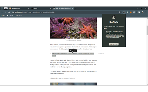 SurfNote  from Chrome web store to be run with OffiDocs Chromium online