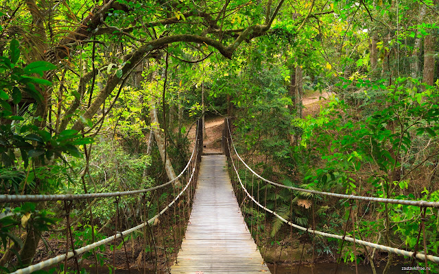 Suspension Bridge  from Chrome web store to be run with OffiDocs Chromium online