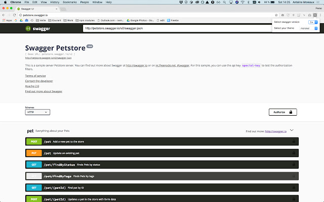 Swagger Ui Themes  from Chrome web store to be run with OffiDocs Chromium online