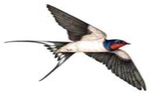 swallow wallpaper  from Chrome web store to be run with OffiDocs Chromium online