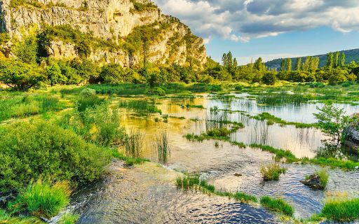 Swamp  from Chrome web store to be run with OffiDocs Chromium online