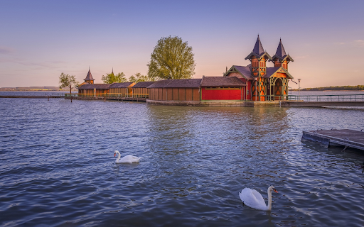 Swan and house on the lake  from Chrome web store to be run with OffiDocs Chromium online