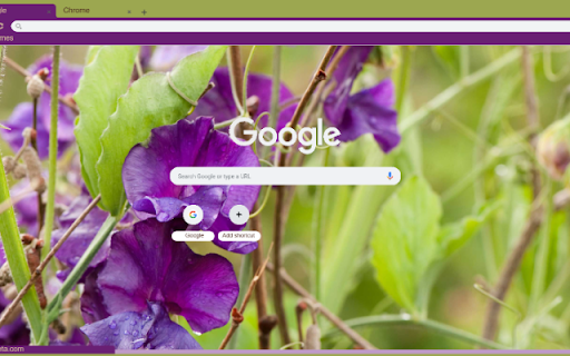 Sweet Pea  from Chrome web store to be run with OffiDocs Chromium online