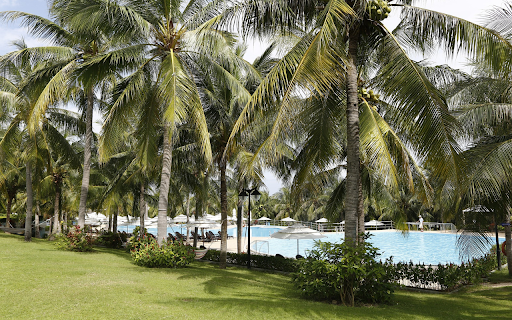 swimming pool and coconut trees  from Chrome web store to be run with OffiDocs Chromium online