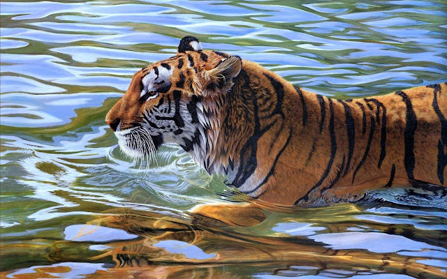 Swimming Tiger  from Chrome web store to be run with OffiDocs Chromium online