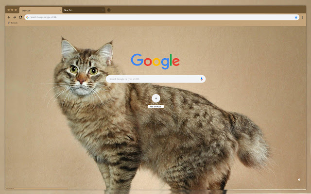 Tabby cat mula sa Chrome web store na tatakbo sa OffiDocs Chromium online