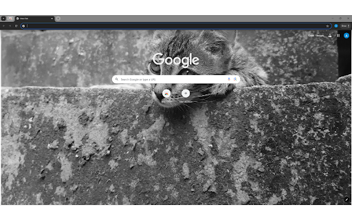 Tabby Kitten Lying on Concrete Stairs  from Chrome web store to be run with OffiDocs Chromium online