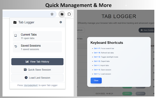 Tab Logger Simplify History  from Chrome web store to be run with OffiDocs Chromium online