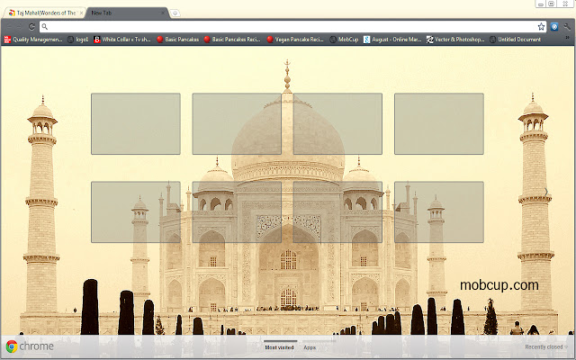 Chrome 网上商店的印度泰姬陵（世界奇观）将通过 OffiDocs Chromium 在线运行