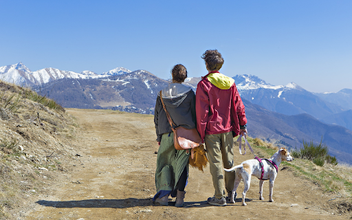 Take your dog climbing  from Chrome web store to be run with OffiDocs Chromium online