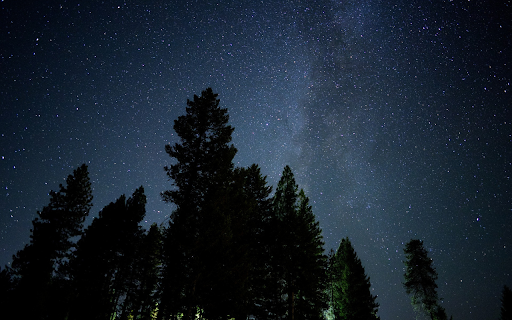 Tall trees and stars at night  from Chrome web store to be run with OffiDocs Chromium online
