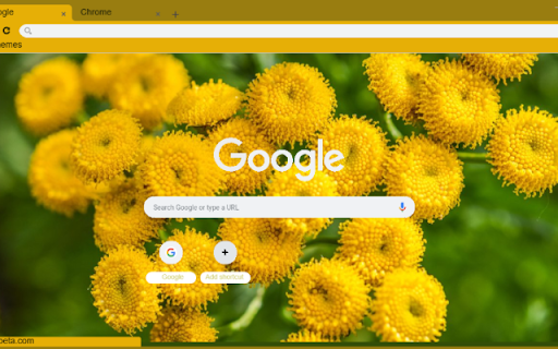 Tansy  from Chrome web store to be run with OffiDocs Chromium online