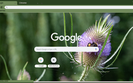 Teasel  from Chrome web store to be run with OffiDocs Chromium online
