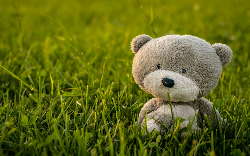 Teddy Bear on Grass  from Chrome web store to be run with OffiDocs Chromium online