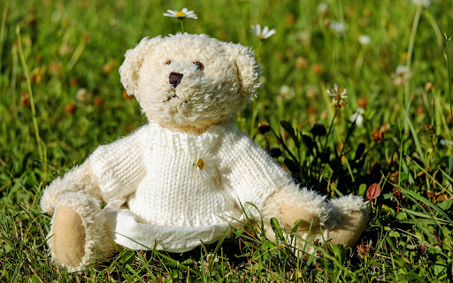 Teddy bear on the grass  from Chrome web store to be run with OffiDocs Chromium online