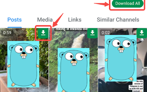 Telegram Downloader Free Telegram Video Downloader  from Chrome web store to be run with OffiDocs Chromium online