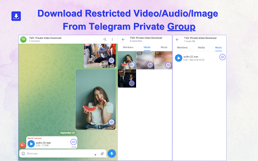 Telegram Video Downloader TVDownloader  from Chrome web store to be run with OffiDocs Chromium online