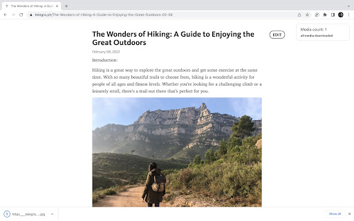 Telegra.ph media downloader  from Chrome web store to be run with OffiDocs Chromium online