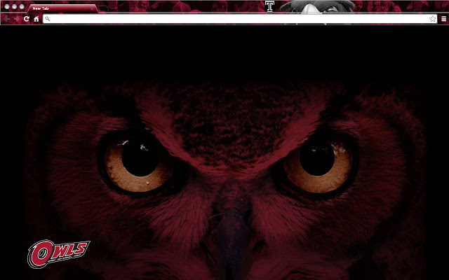 Temple University Theme  from Chrome web store to be run with OffiDocs Chromium online