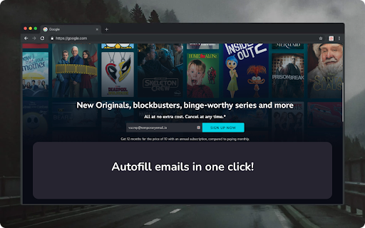 Temporary eMail Disposable Email  from Chrome web store to be run with OffiDocs Chromium online