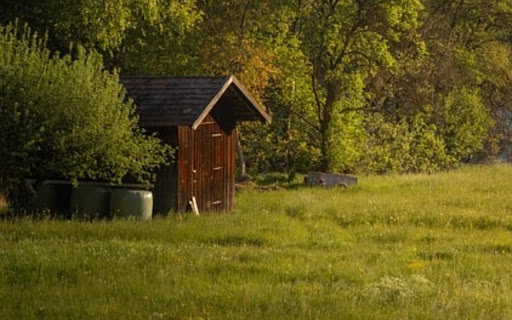 TENT Theme  from Chrome web store to be run with OffiDocs Chromium online