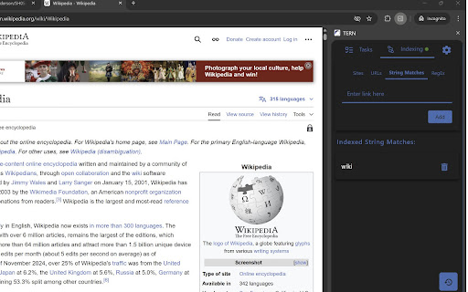 TERN  from Chrome web store to be run with OffiDocs Chromium online