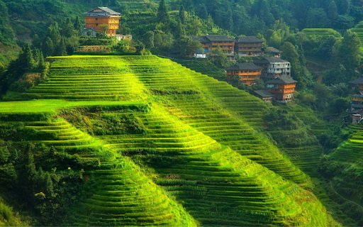Terraced Fields and Village  from Chrome web store to be run with OffiDocs Chromium online
