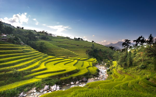 Terraced fields on the hills  from Chrome web store to be run with OffiDocs Chromium online