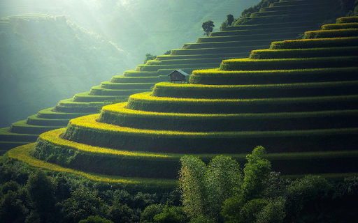 Terraced Fields Serenity  from Chrome web store to be run with OffiDocs Chromium online
