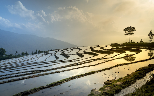 Terraced fields soaked in water  from Chrome web store to be run with OffiDocs Chromium online
